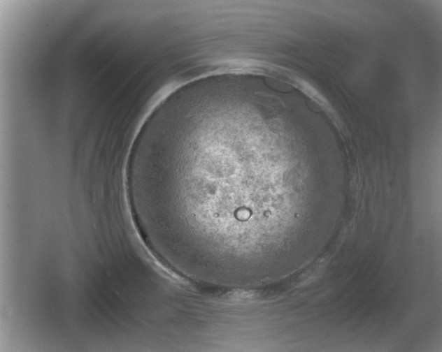 X0000062131283200512121206