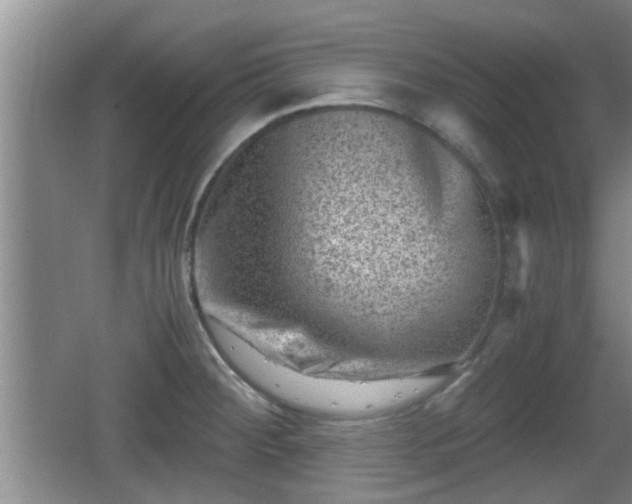 X0000062131284200512121206