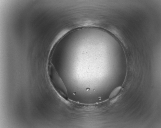 X0000062131285200512121206