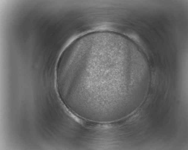 X0000062131286200512121206