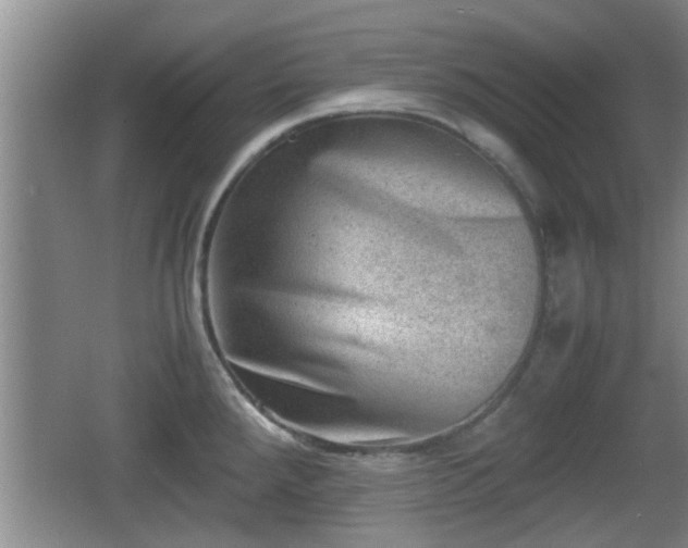 X0000062131288200512121206