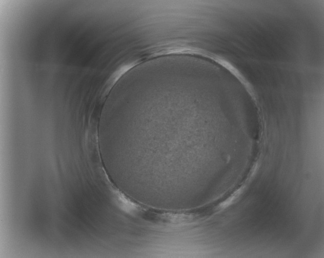 X0000062131289200512121206