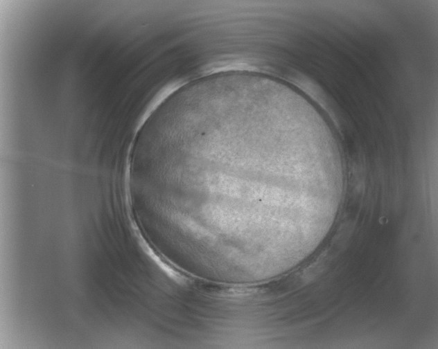 X0000062131290200512121206