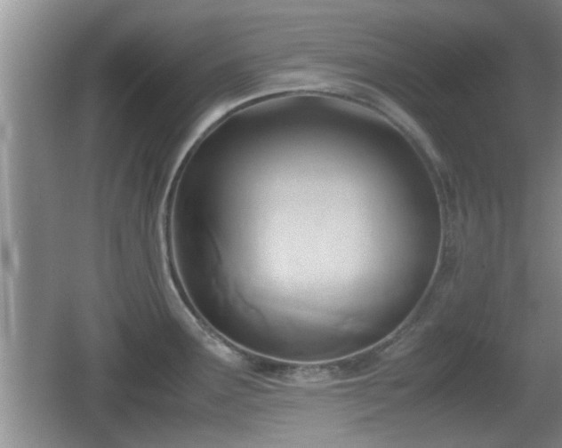 X0000062131291200512121206