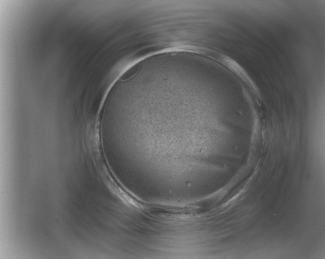 X0000062131292200512121206