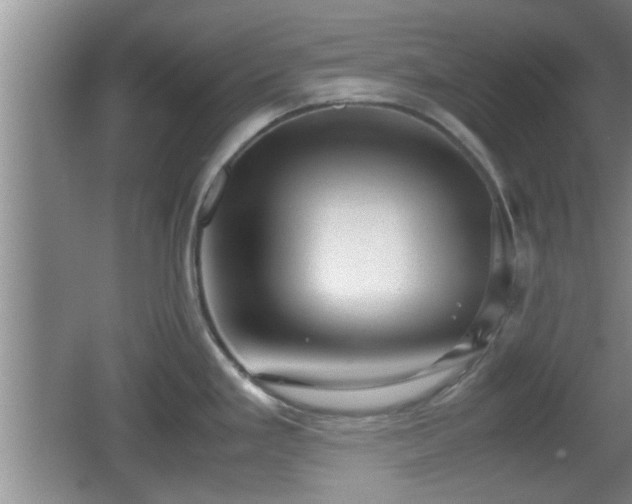 X0000062131293200512121206