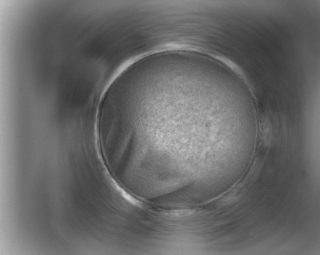 X0000062131294200512121206