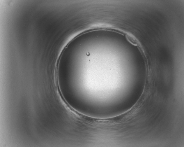 X0000062131295200512121206