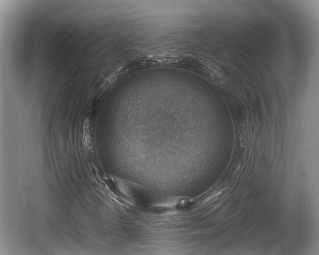 X0000062131298200512121205