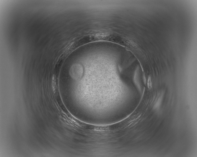 X0000062131299200512121205