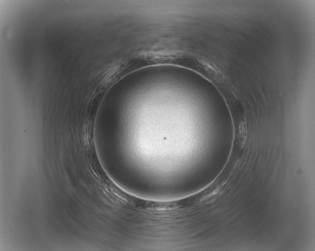 X0000062131300200512121205