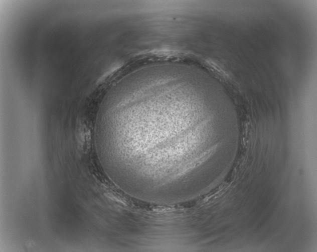 X0000062131302200512121205