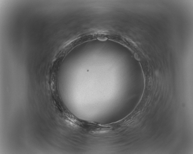 X0000062131303200512121205