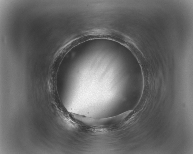 X0000062131304200512121205