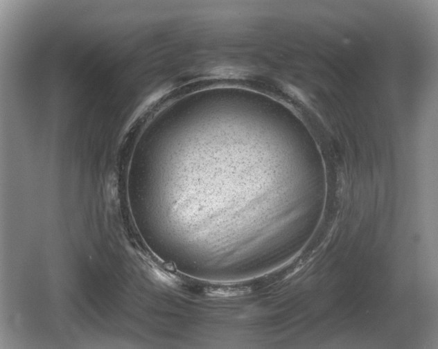 X0000062131307200512121205