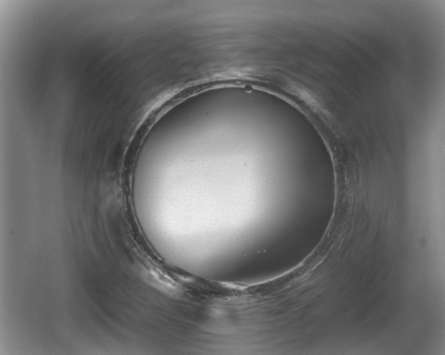 X0000062131308200512121205