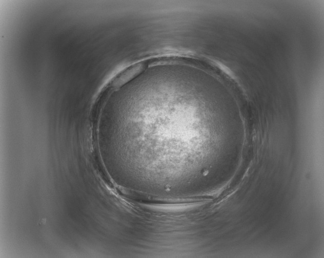 X0000062131310200512121205