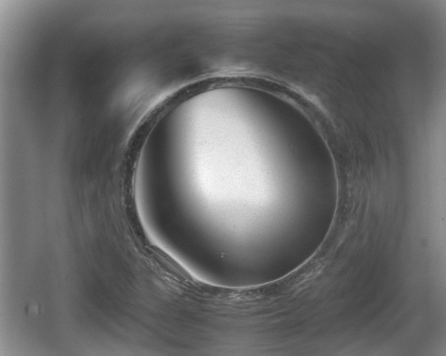 X0000062131311200512121205