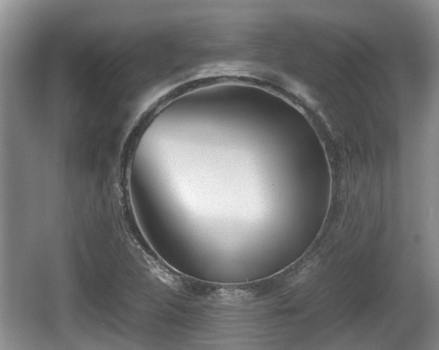 X0000062131312200512121205