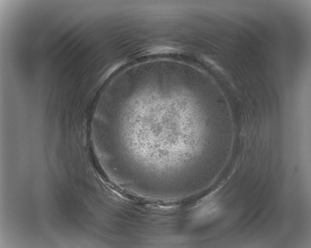 X0000062131313200512121205