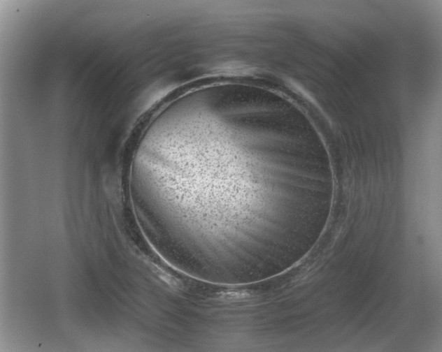 X0000062131315200512121205