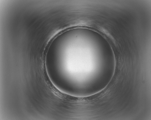 X0000062131316200512121205