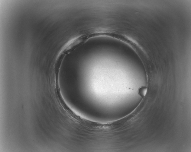 X0000062131317200512121205