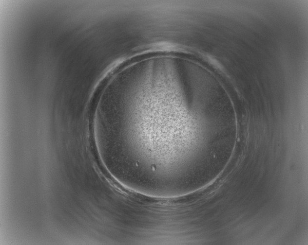 X0000062131318200512121205