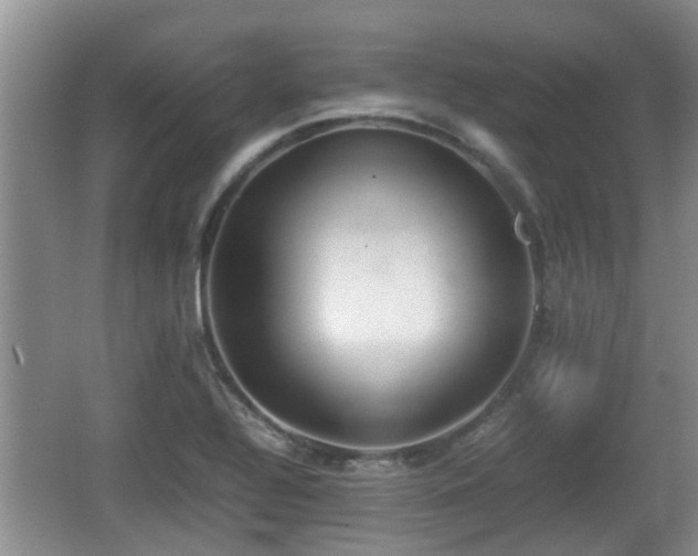 X0000062131320200512121205