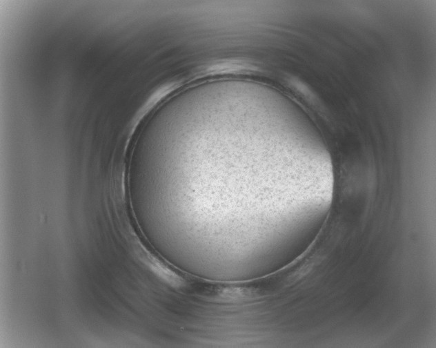 X0000062131322200512121205