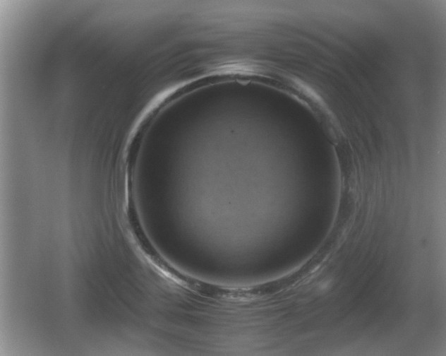 X0000062131323200512121205