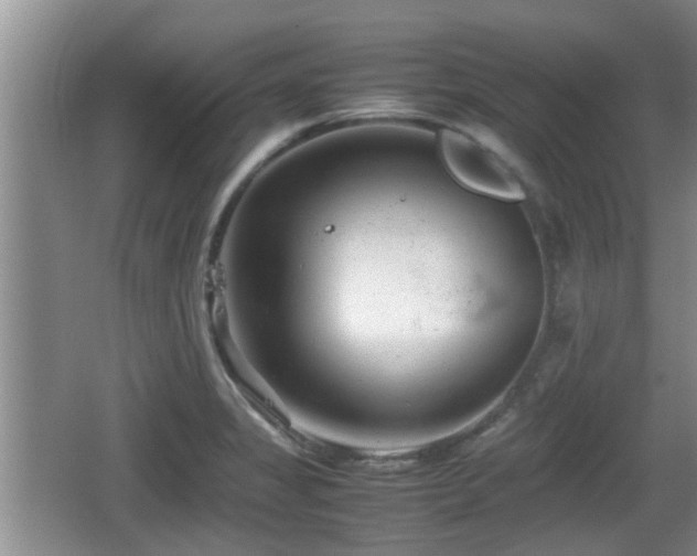 X0000062131325200512121205