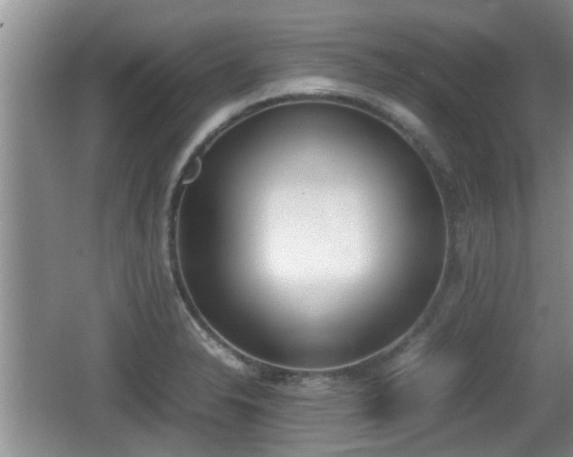 X0000062131326200512121205