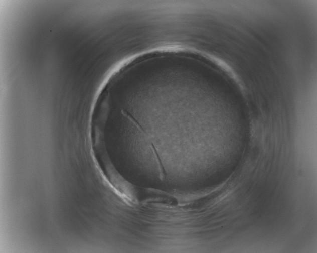 X0000062131327200512121205