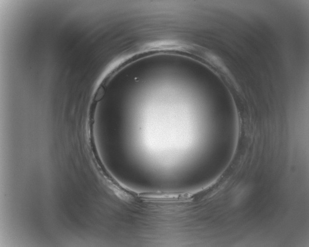 X0000062131328200512121205