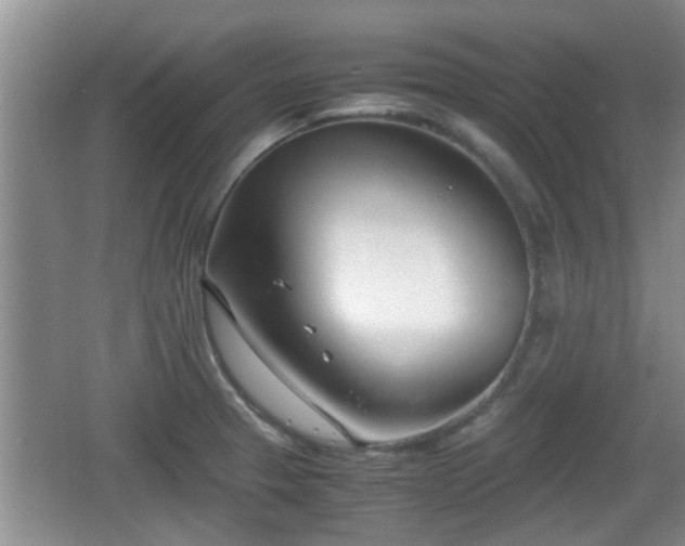 X0000062131329200512121205