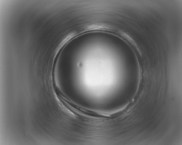 X0000062131330200512121205