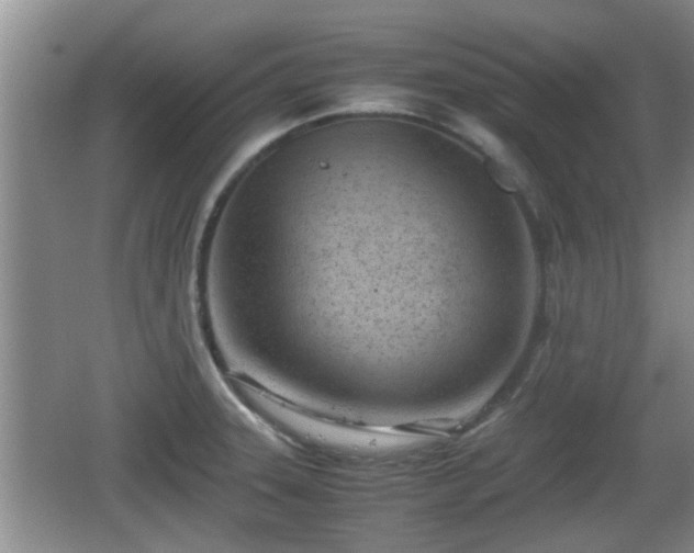 X0000062131331200512121205