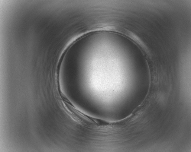 X0000062131332200512121205