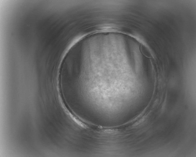 X0000062131333200512121205