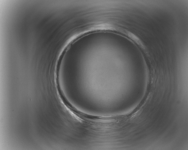 X0000062131334200512121205