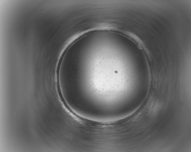 X0000062131335200512121205