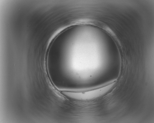 X0000062131336200512121205