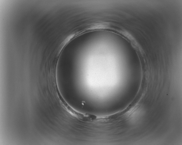 X0000062131337200512121205