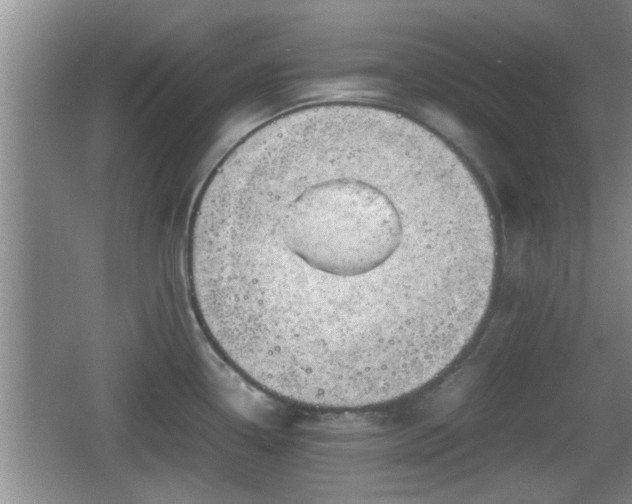 X0000062131338200512121205