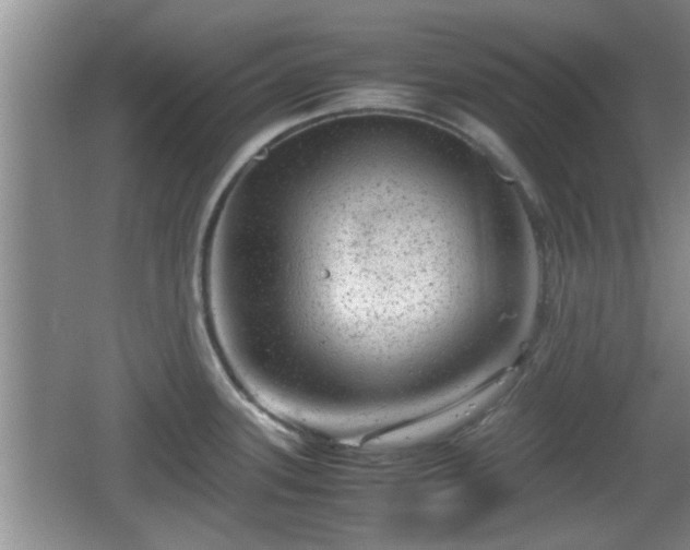 X0000062131339200512121205