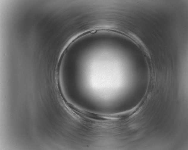 X0000062131340200512121205