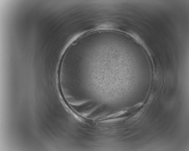 X0000062131341200512121205