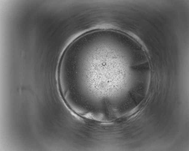 X0000062131343200512121205