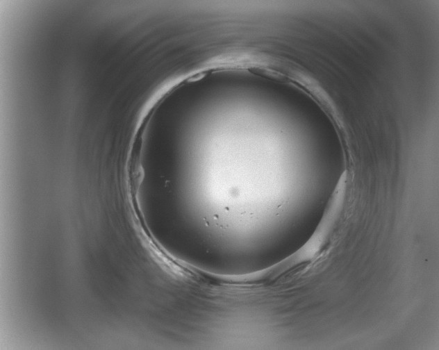 X0000062131344200512121205